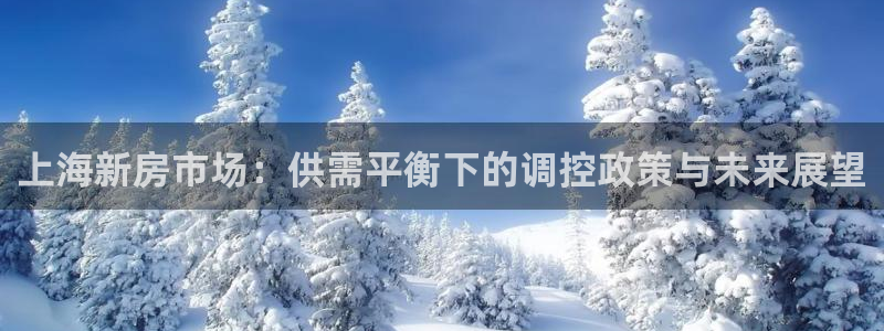 天狮娱乐bd33net广告：上海新房市场：供需平衡下的调控政
