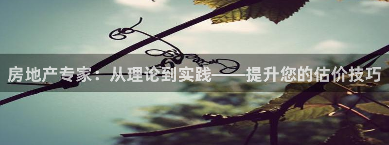 天狮娱乐开户：房地产专家：从理论到实践——提升您的估价技巧