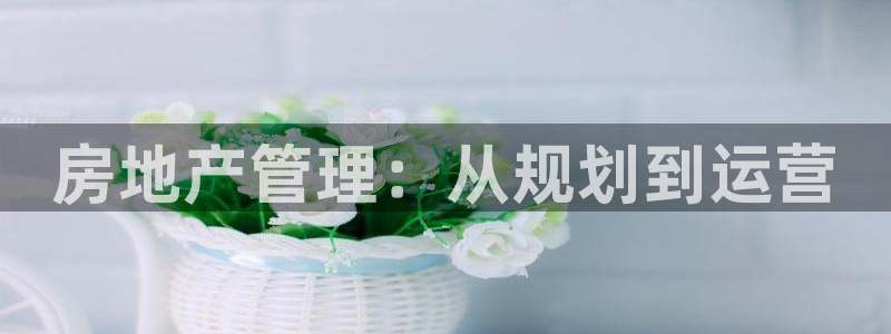 天狮娱乐 a招商67646：房地产管理：从规划到运营