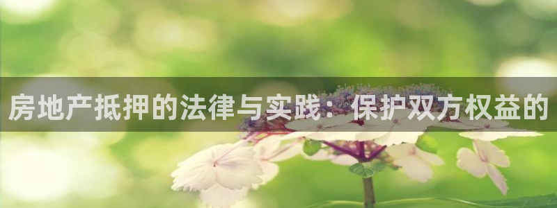 天狮娱乐950954：房地产抵押的法律与实践：保护双方权益的