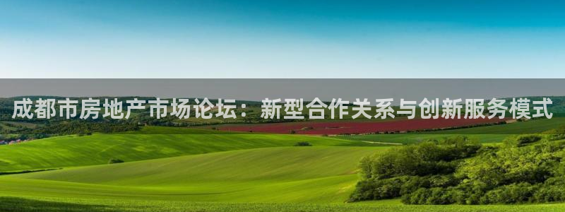 天狮娱乐怎么注册：成都市房地产市场论坛：新型合作关系与创新服