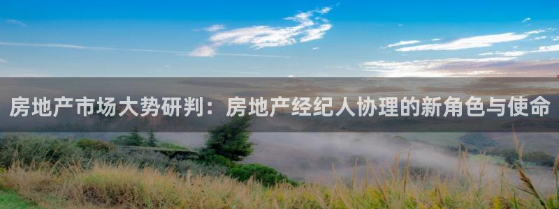 天狮娱乐怎么做：房地产市场大势研判：房地产经纪人协理的新角色