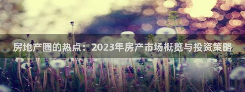 天狮娱乐app下载：房地产圈的热点：2023年房产市场概览与