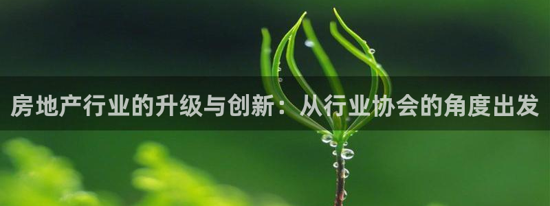 天狮娱乐下载app