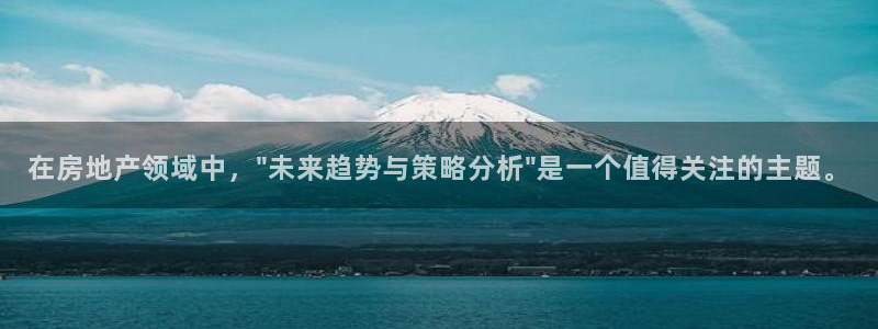 天狮娱乐年：在房地产领域中，\