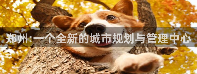 天狮娱乐返点：郑州:一个全新的城市规划与管理中心