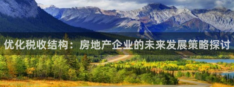 天狮娱乐彩票真假：优化税收结构：房地产企业的未来发展策略探讨