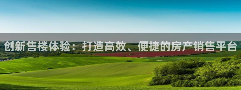 天狮娱乐是正规：创新售楼体验：打造高效、便捷的房产销售平台