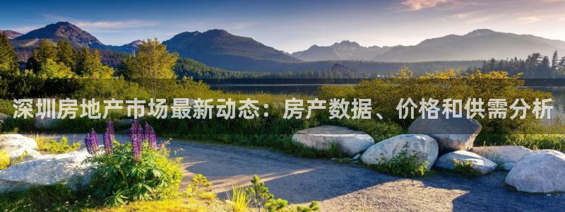 天狮娱乐平台：深圳房地产市场最新动态：房产数据、价格和供需分