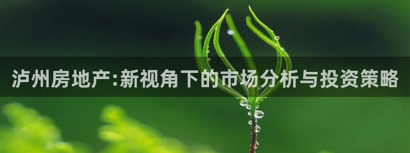 天狮娱乐能赚钱吗：泸州房地产:新视角下的市场分析与投资策略