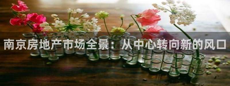 天狮娱乐招j商443593：南京房地产市场全景：从中心转向新