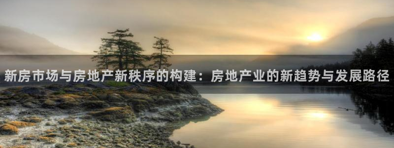 天狮娱乐招商：新房市场与房地产新秩序的构建：房地产业的新趋势