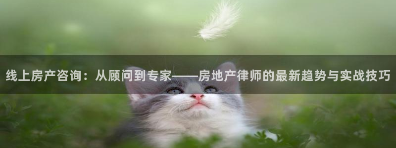 天狮娱乐负：线上房产咨询：从顾问到专家——房地产律师的最新趋