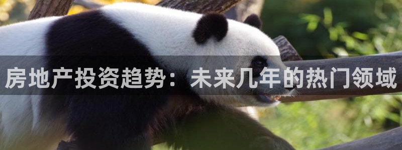 龙湖苏州狮山天街娱乐：房地产投资趋势：未来几年的热门领域