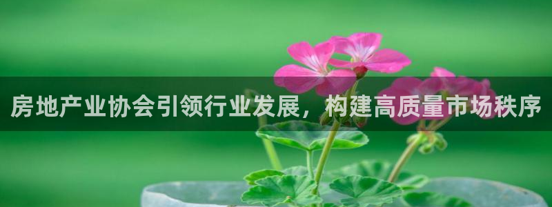 天狮娱乐 e.主管57661