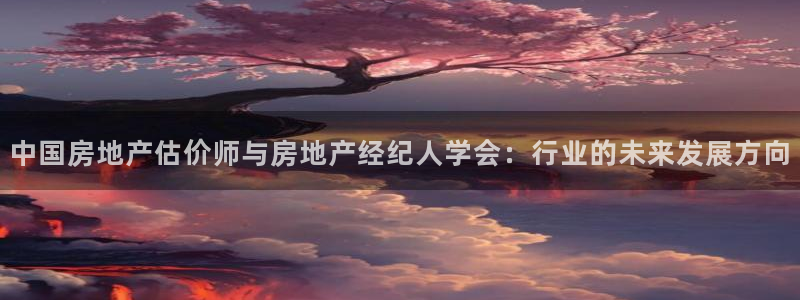 天狮娱乐会员：中国房地产估价师与房地产经纪人学会：行业的未来