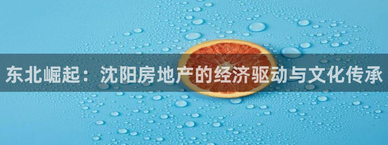 天狮娱乐q：东北崛起：沈阳房地产的经济驱动与文化传承