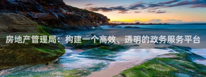 天狮娱乐股东代理