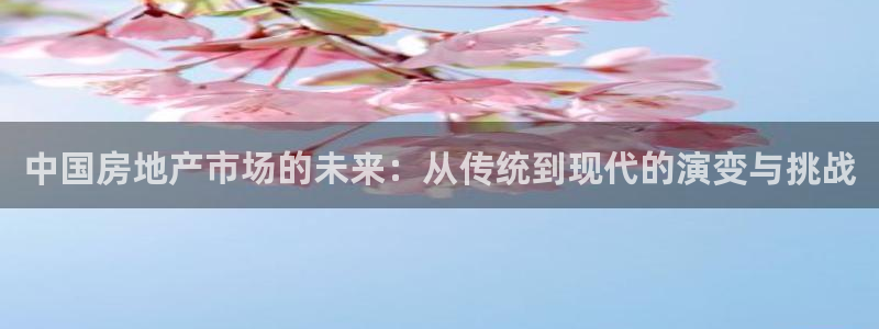 天狮娱乐网址：中国房地产市场的未来：从传统到现代的演变与挑战