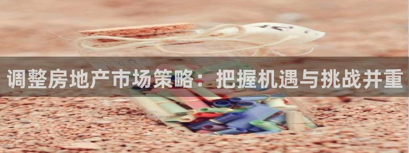 天狮娱乐平台招商：调整房地产市场策略：把握机遇与挑战并重