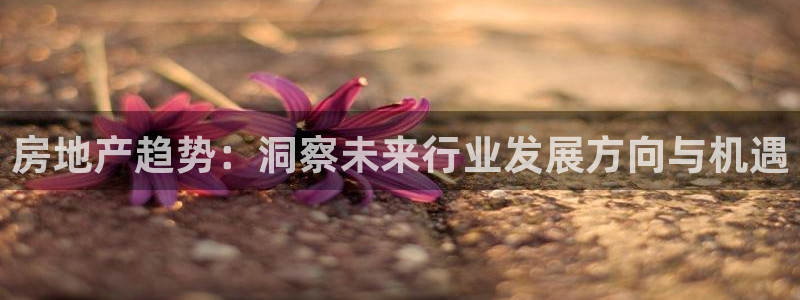 天狮娱乐怎样玩