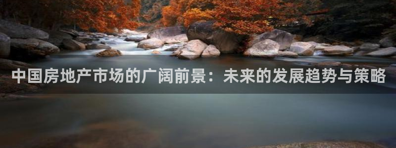 天狮娱乐代理最高多少钱：中国房地产市场的广阔前景：未来的发展