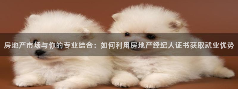 天狮娱乐返点：房地产市场与你的专业结合：如何利用房地产经纪人