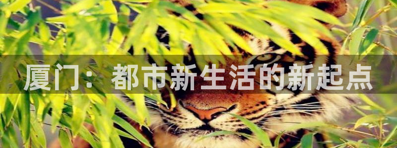 天狮娱乐71009：厦门：都市新生活的新起点