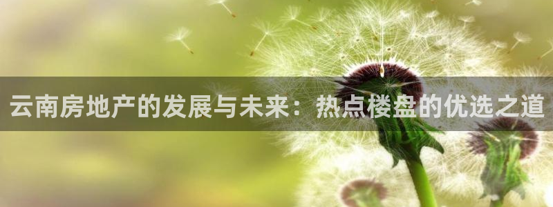 天狮娱乐股东招商：云南房地产的发展与未来：热点楼盘的优选之道