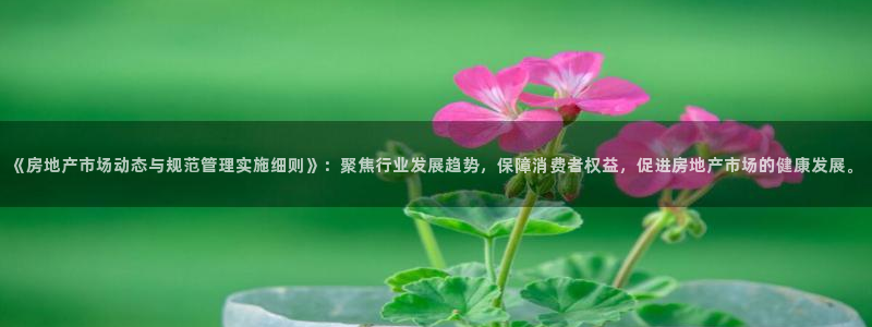 https 天狮娱乐：《房地产市场动态与规范管理实施细则》：