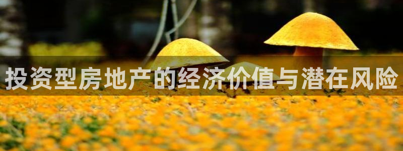 天狮yl娱乐