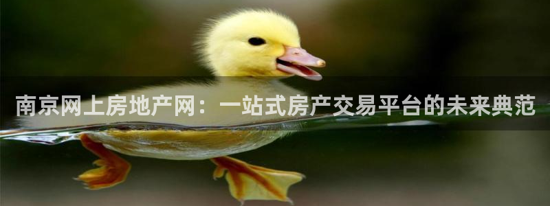 天狮娱乐 a内部29229：南京网上房地产网：一站式房产交易