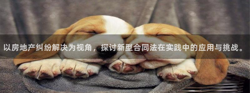 天狮娱乐注册q 0：以房地产纠纷解决为视角，探讨新型合同法在