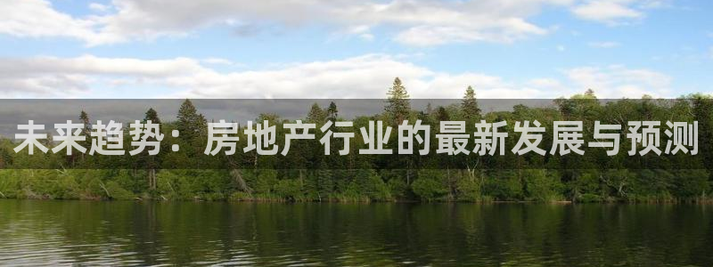 天狮娱乐q 去108-306：未来趋势：房地产行业的最新发展