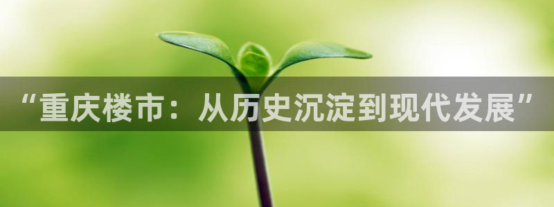 天狮娱乐行：“重庆楼市：从历史沉淀到现代发展”