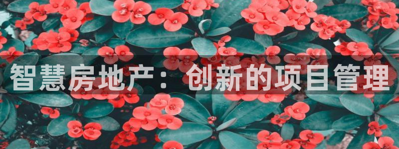 天狮娱乐最高待遇：智慧房地产：创新的项目管理