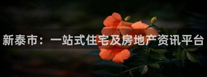 天狮娱乐黑千