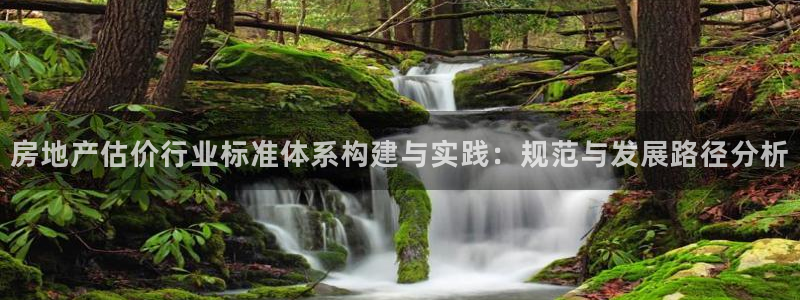 天狮娱乐股东待遇：房地产估价行业标准体系构建与实践：规范与发