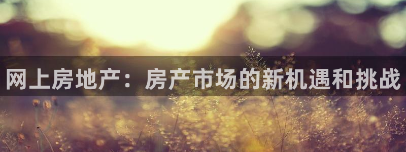 天狮娱乐购彩平台：网上房地产：房产市场的新机遇和挑战