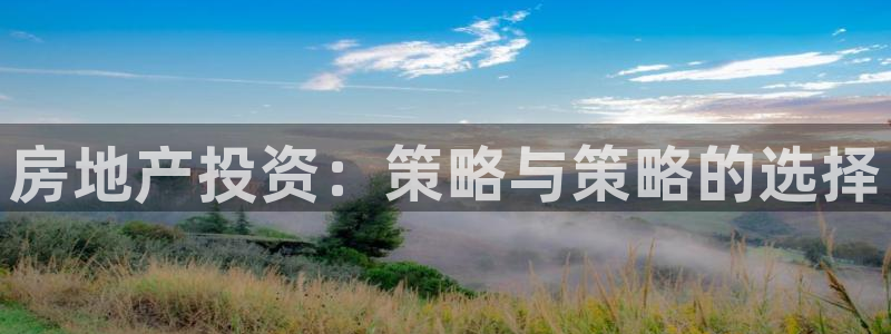 天狮娱乐平台是赌博吗：房地产投资：策略与策略的选择