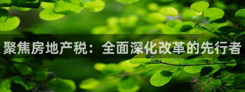 天狮娱乐鱼刺A软件：聚焦房地产税：全面深化改革的先行者