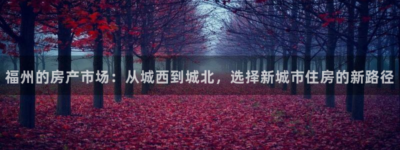 天狮娱乐33673 q实力：福州的房产市场：从城西到城北，选