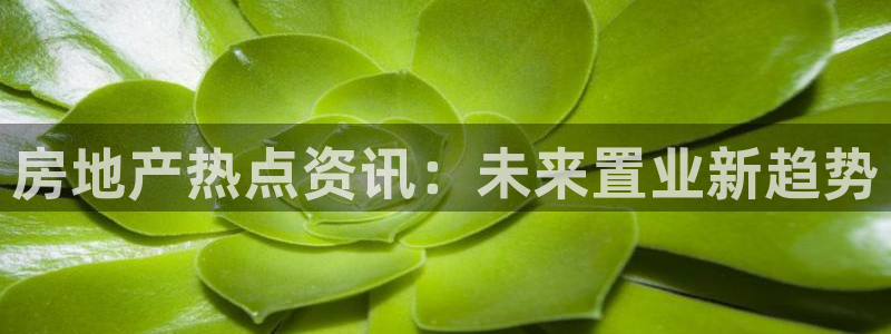 天狮娱乐股东88383：房地产热点资讯：未来置业新趋势