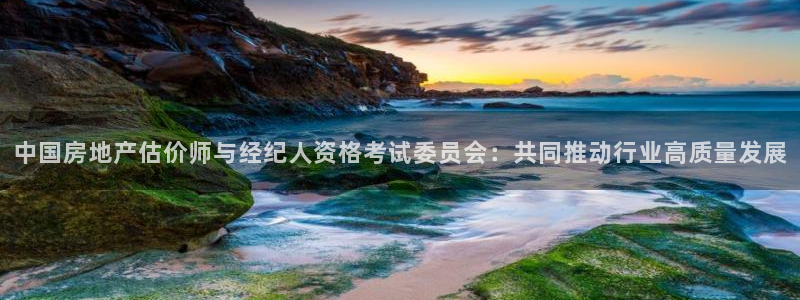 天狮娱乐所：中国房地产估价师与经纪人资格考试委员会：共同推动