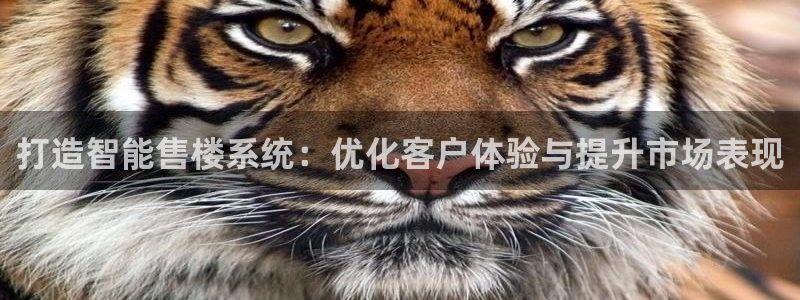 天狮娱乐手机挂机：打造智能售楼系统：优化客户体验与提升市场表