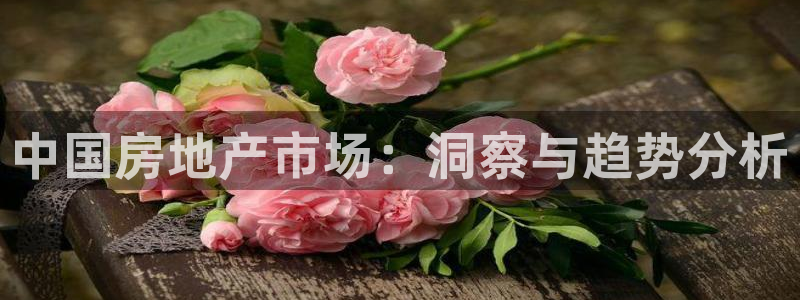 天狮娱乐分分：中国房地产市场：洞察与趋势分析