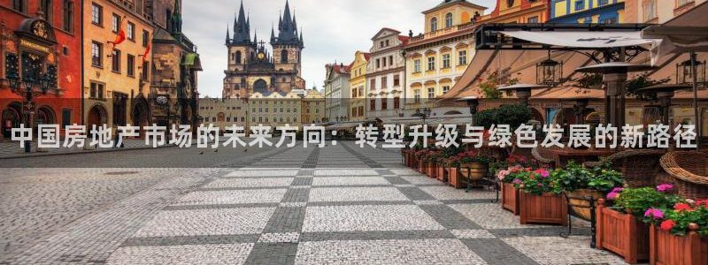 天狮娱乐p实 权：中国房地产市场的未来方向：转型升级与绿色发