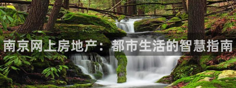 天狮娱乐可靠吗：南京网上房地产：都市生活的智慧指南